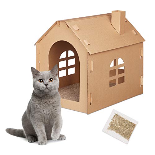 Maison carton et herbe et chat 
