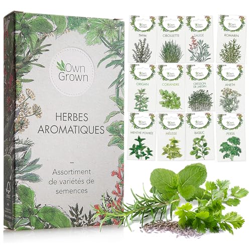 Kit de graines d‘Herbes aromatiques prêt à Pousser OwnGrown, 12