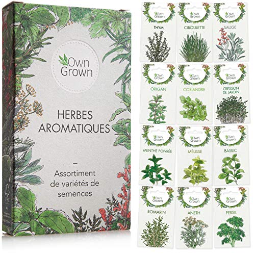 Kit de graines d‘Herbes aromatiques prêt à Pousser OwnGrown, 12