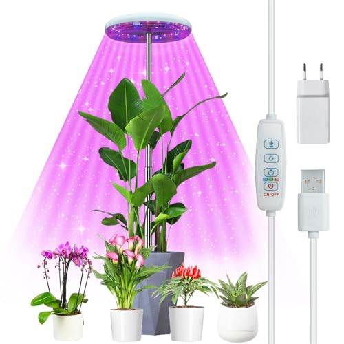Lampe plante à fleurs/fruits